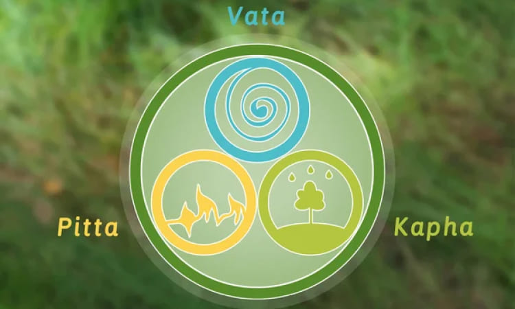 Balances All Three Doshas